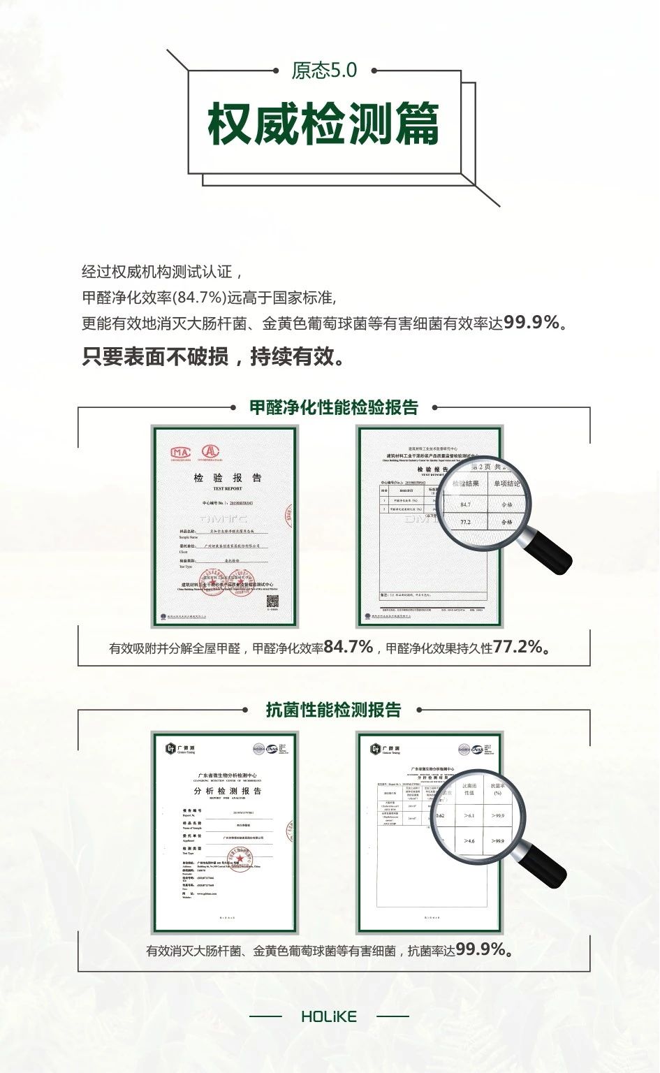 6165cc金沙总站(中国)股份有限公司